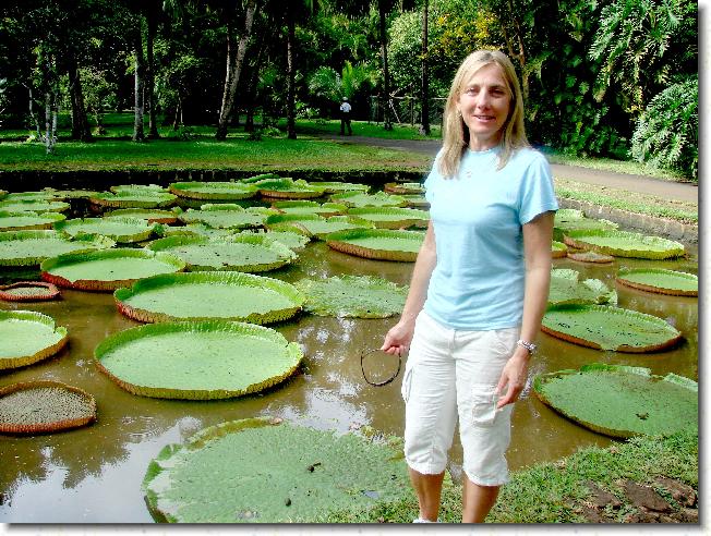 Click for the original image